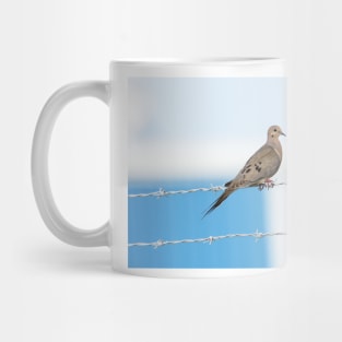 Mourning Dove on the Wire Mug